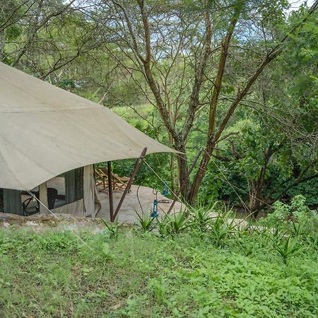 Dolly Farm & River Camp, Luxury Tents Usa River Exterior photo