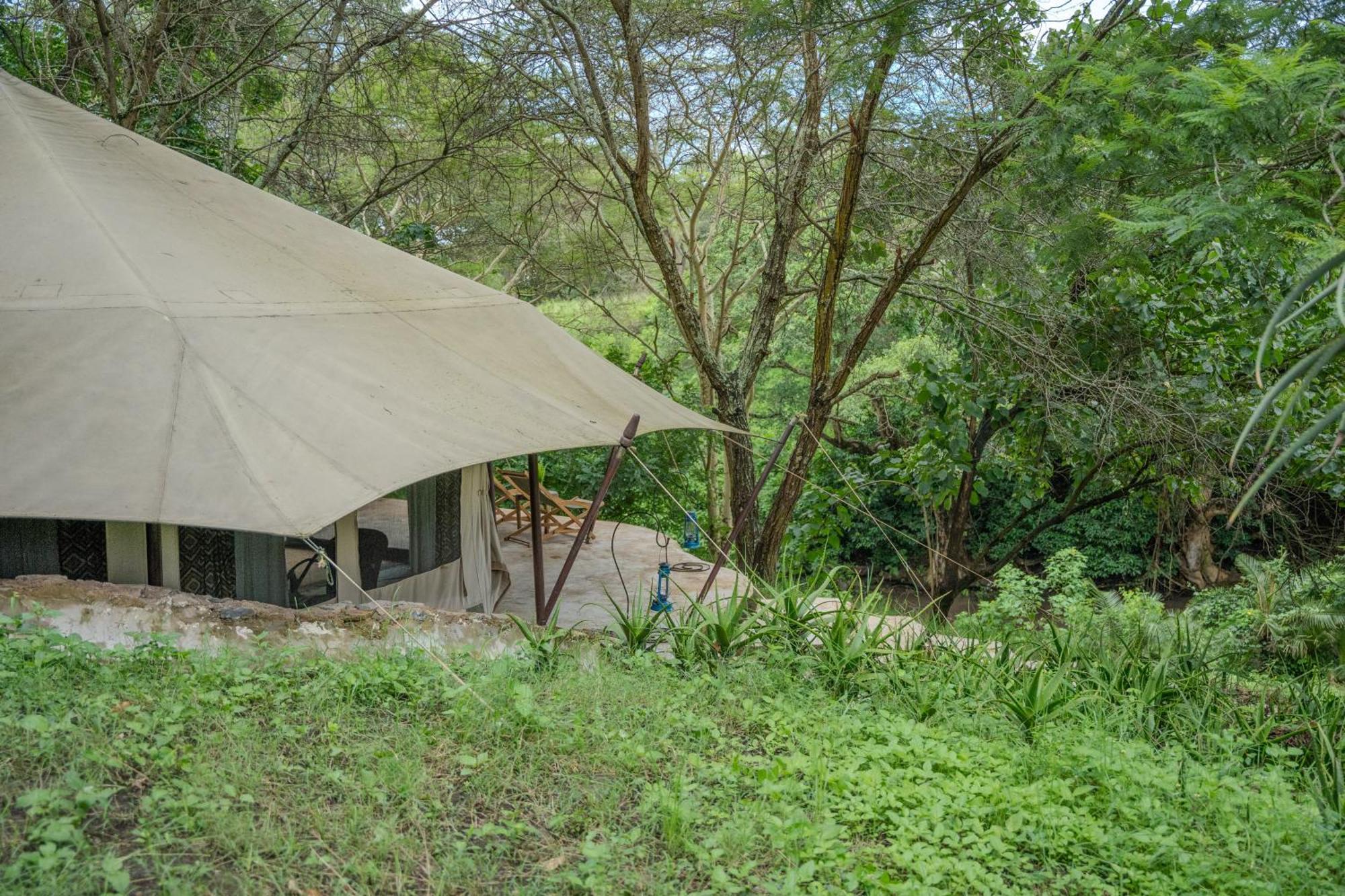 Dolly Farm & River Camp, Luxury Tents Usa River Exterior photo